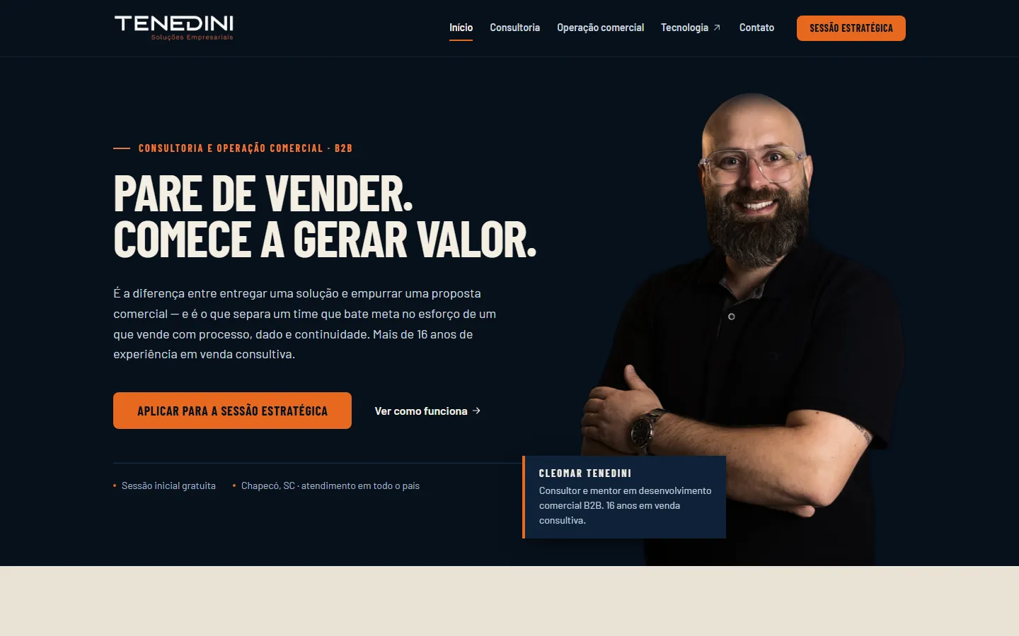 Site institucional da Tenedini Soluções Empresariais.